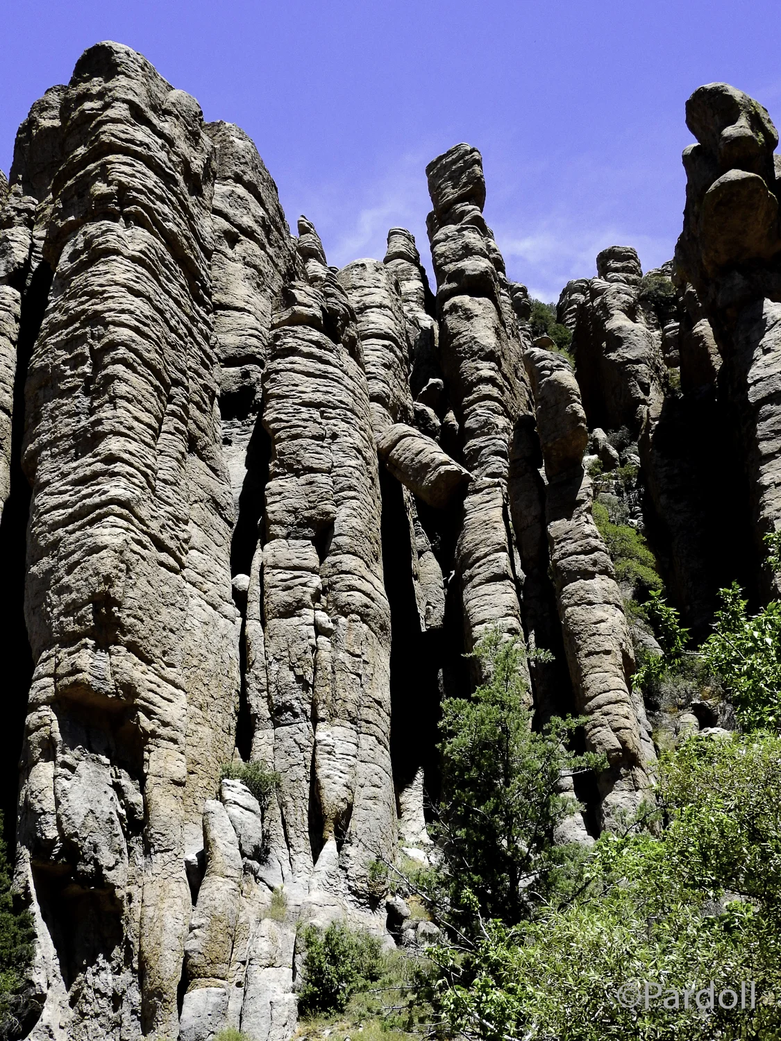 Chiracahua Nat Mon