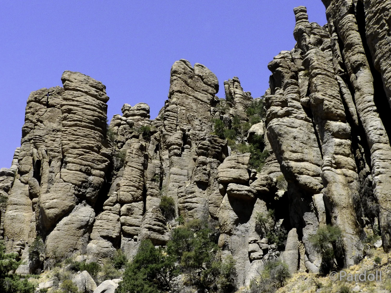 Chiracahua Nat Mon