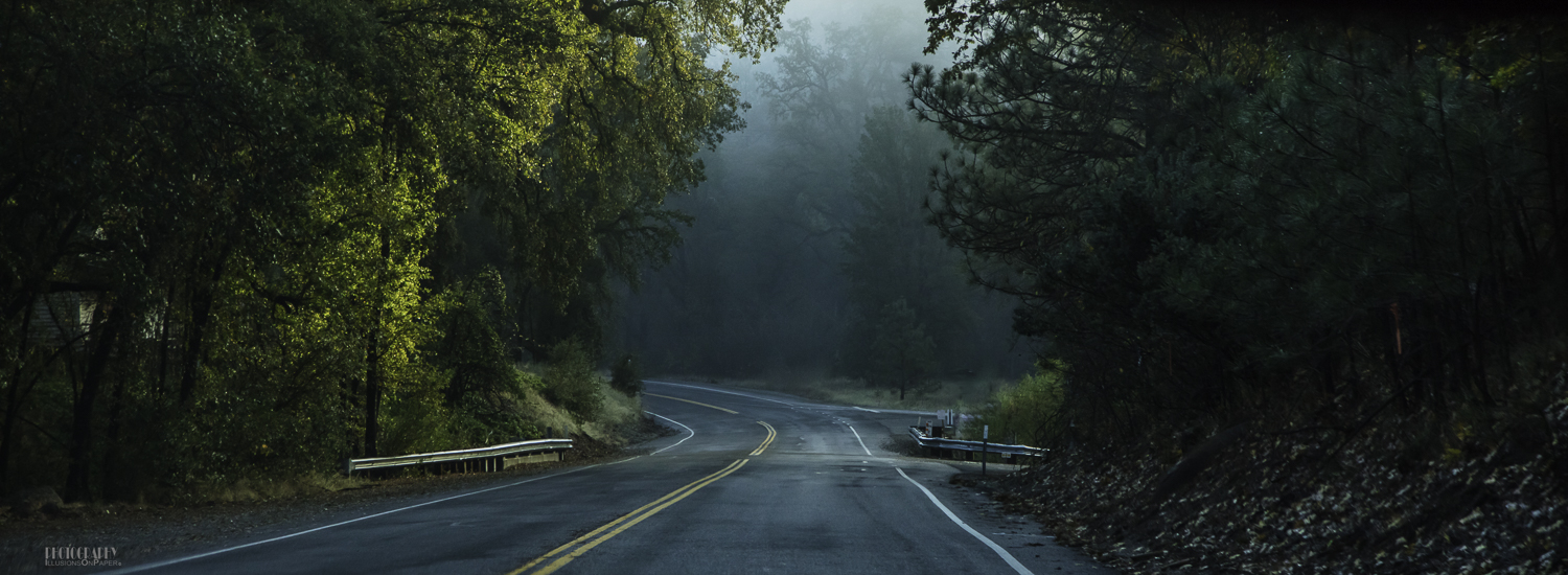 From the Tunnel Viewpoint we drove down into Yosemite Valley. Foggy and wet. Steve was given the 'hot shot' seat next to me and got in some practice shooting from a moving car. Not bad at it!