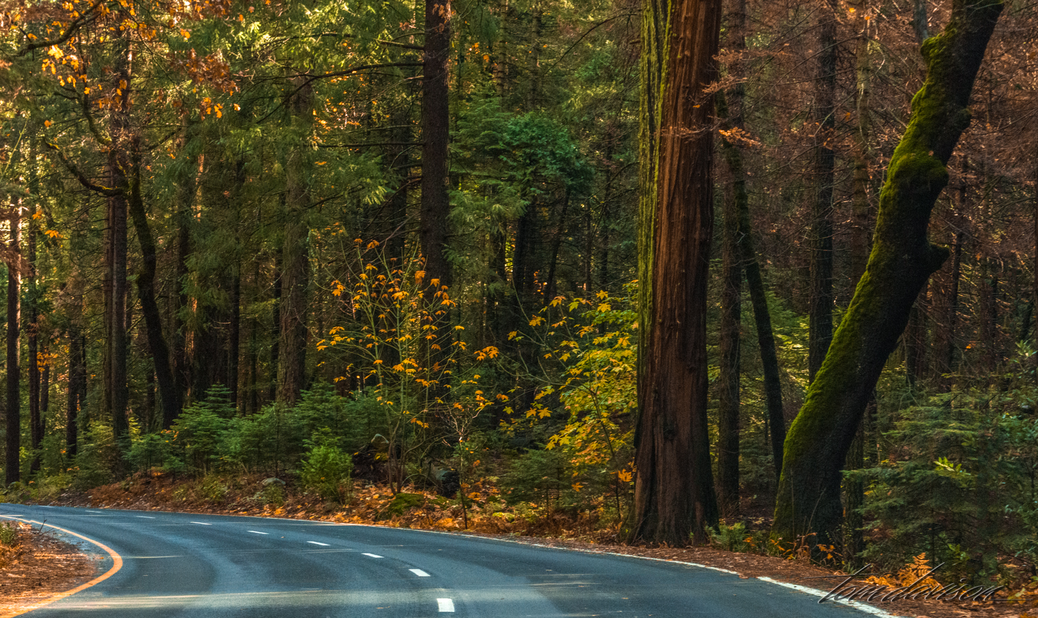 We headed home early, knowing that it was going to be a long trip and I wanted to be out of the curves before dark.