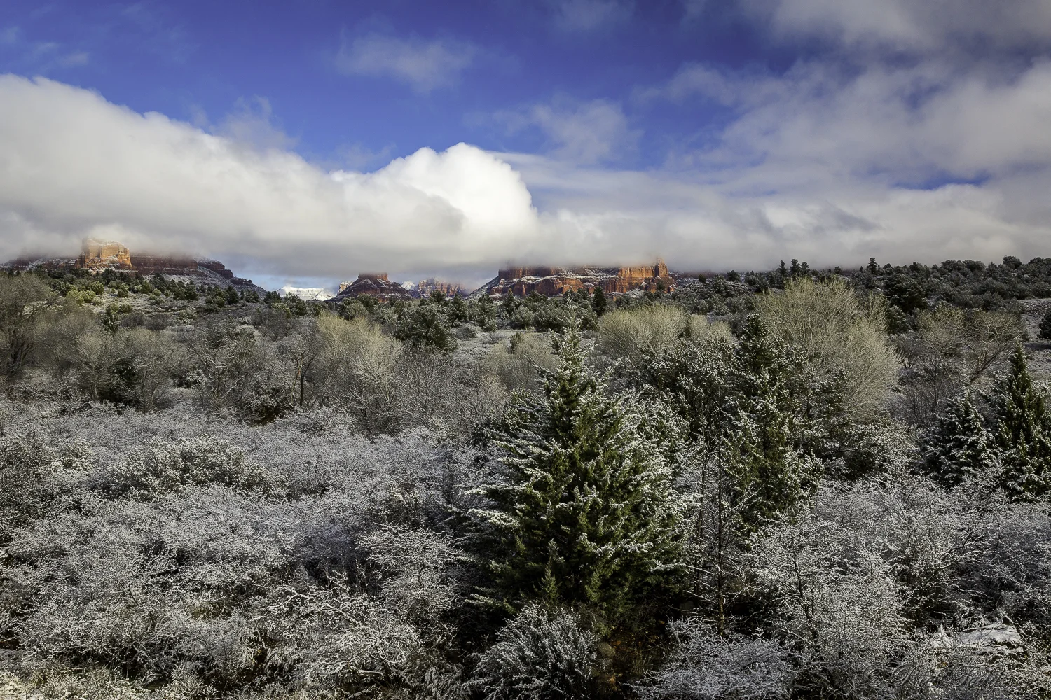 When we drive to Sedona we usually stop first at the Forest Service Information Center. Not only is the view pretty darn good, but it gives us an opportunity to check out road conditions with the staff and makes sure all our favorite sites are open.