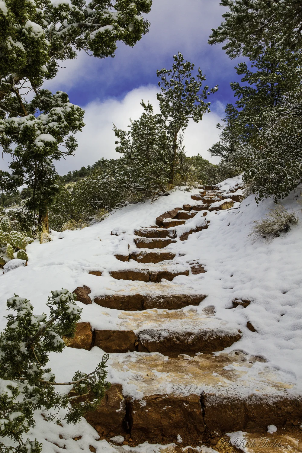 I think Karen hiked to the top but I decided against what looked like a slippery slope. We can only have one person at a time in a sling in our household!