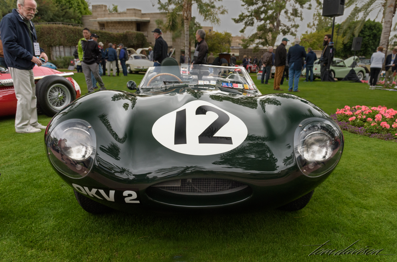 1954 Jaguar XKD403