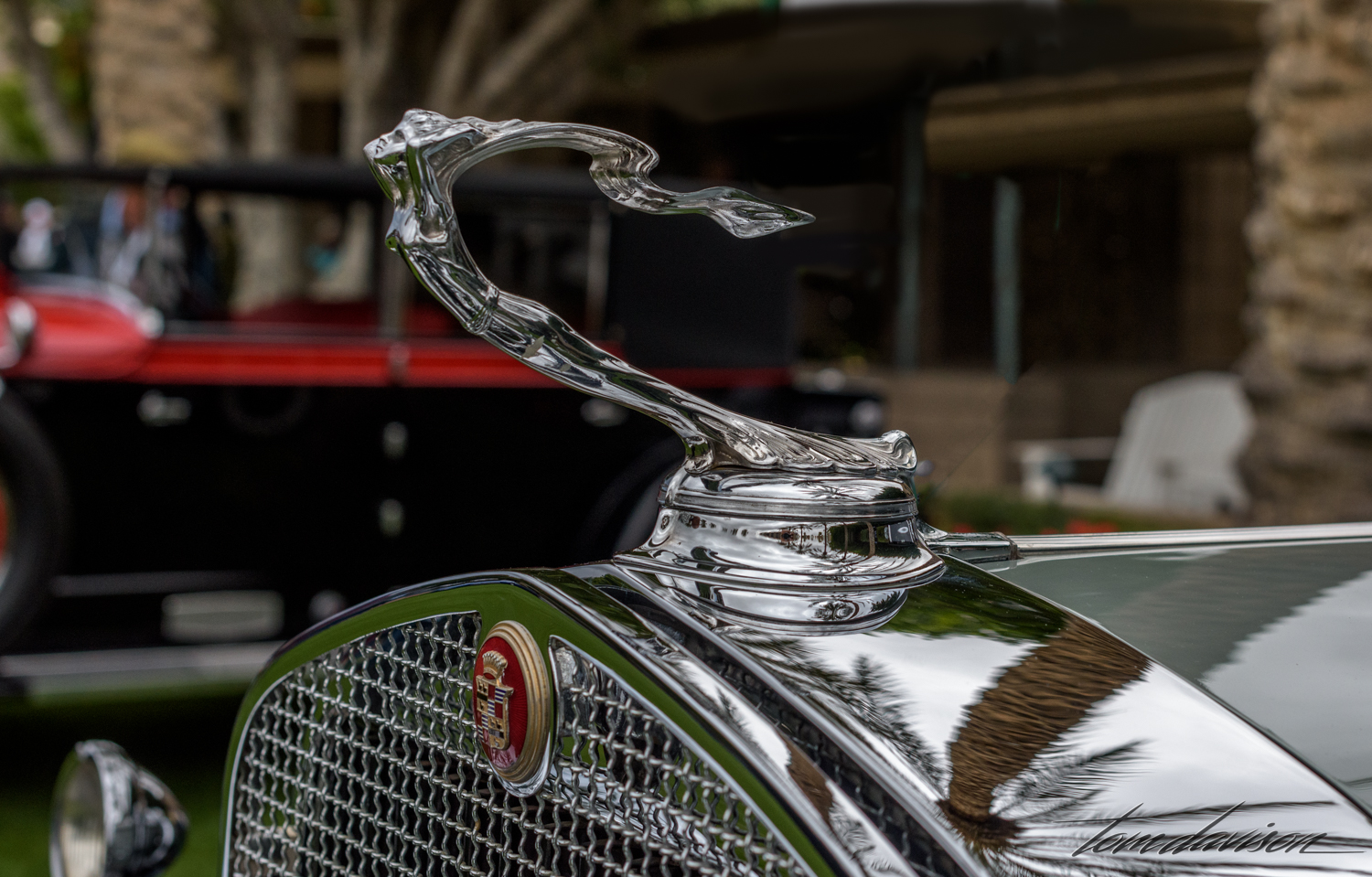 Hood ornament