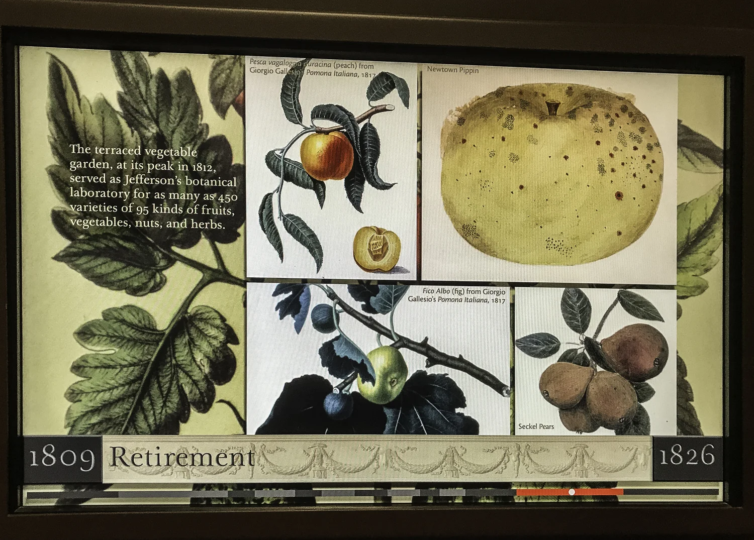 Monticello Slide Show-49.jpg