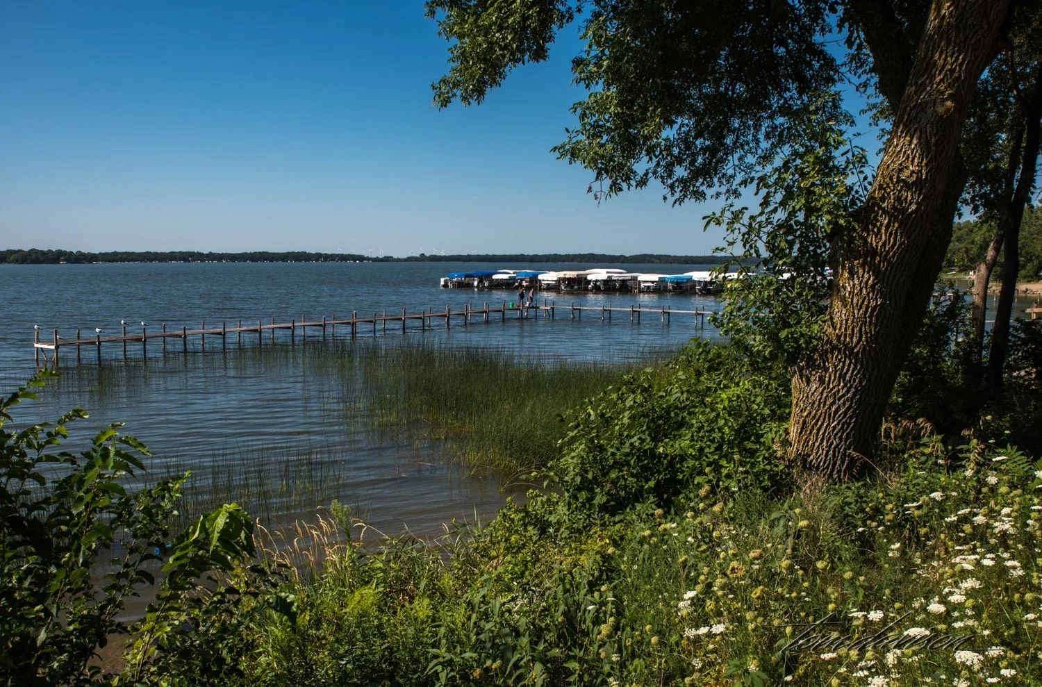 Iowa (5 of 65).jpg