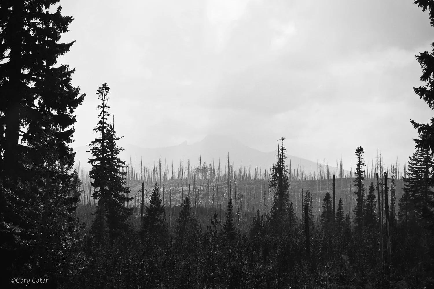 CC Fire-15.jpg