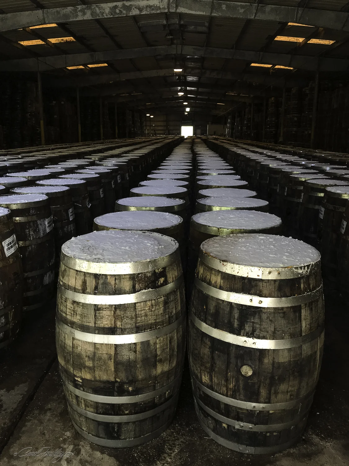 The white oak barrels are sealed and salt placed on top. The mash ferments in the barrels for three years.