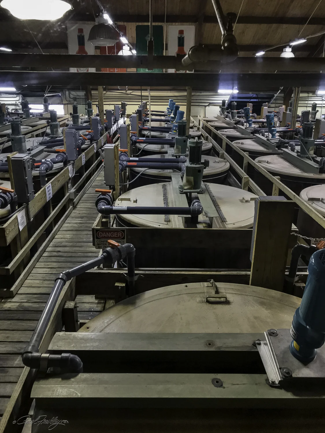 These are the mixing vats where the fermented pepper mash is stirred continuously with other ingredients for up to three weeks.