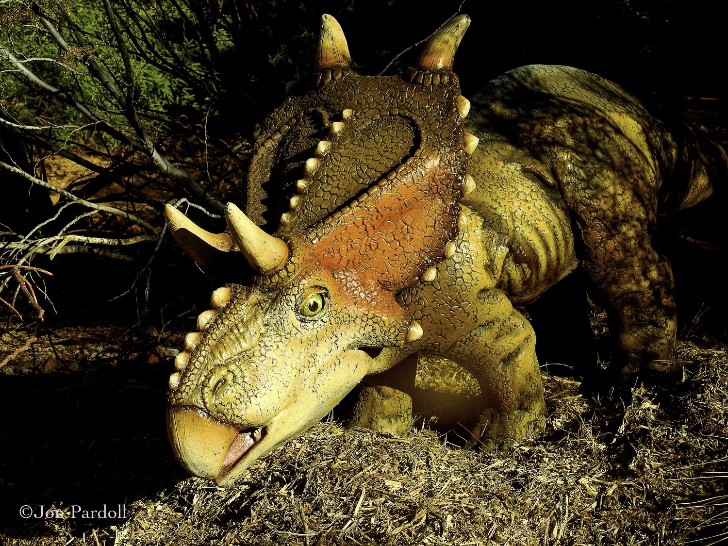 Dinosaurs in the Desert-11.jpg