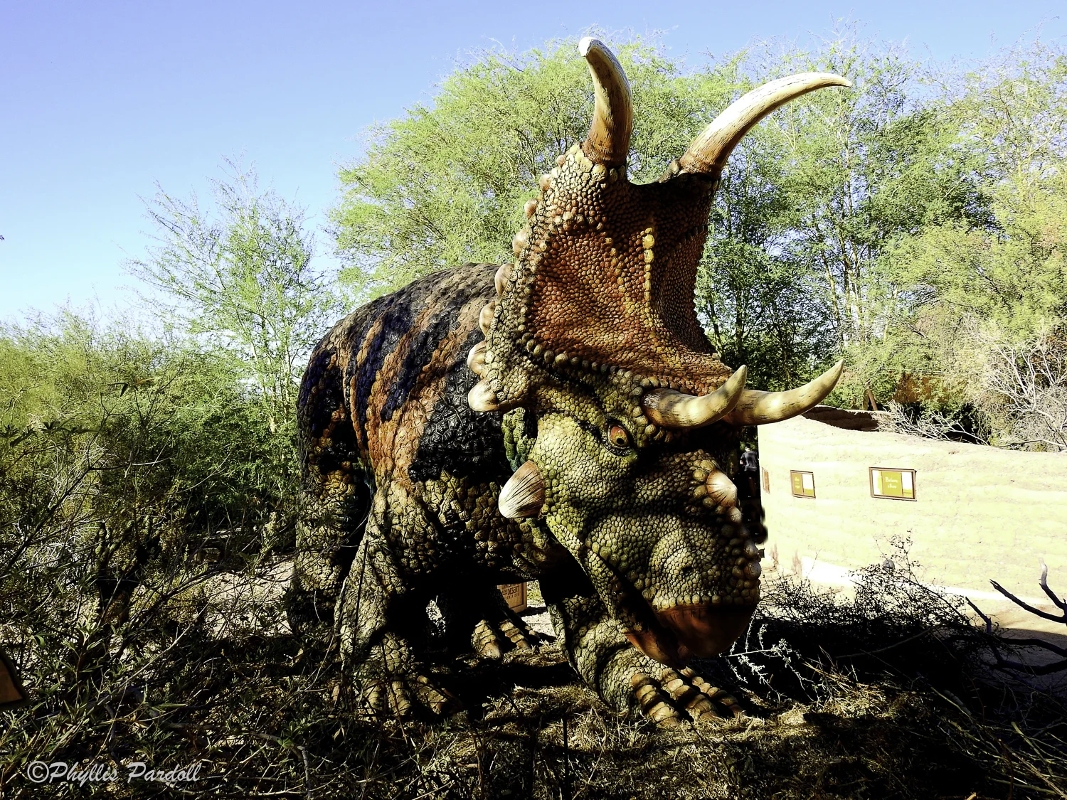 Dinosaurs in the Desert-19.jpg