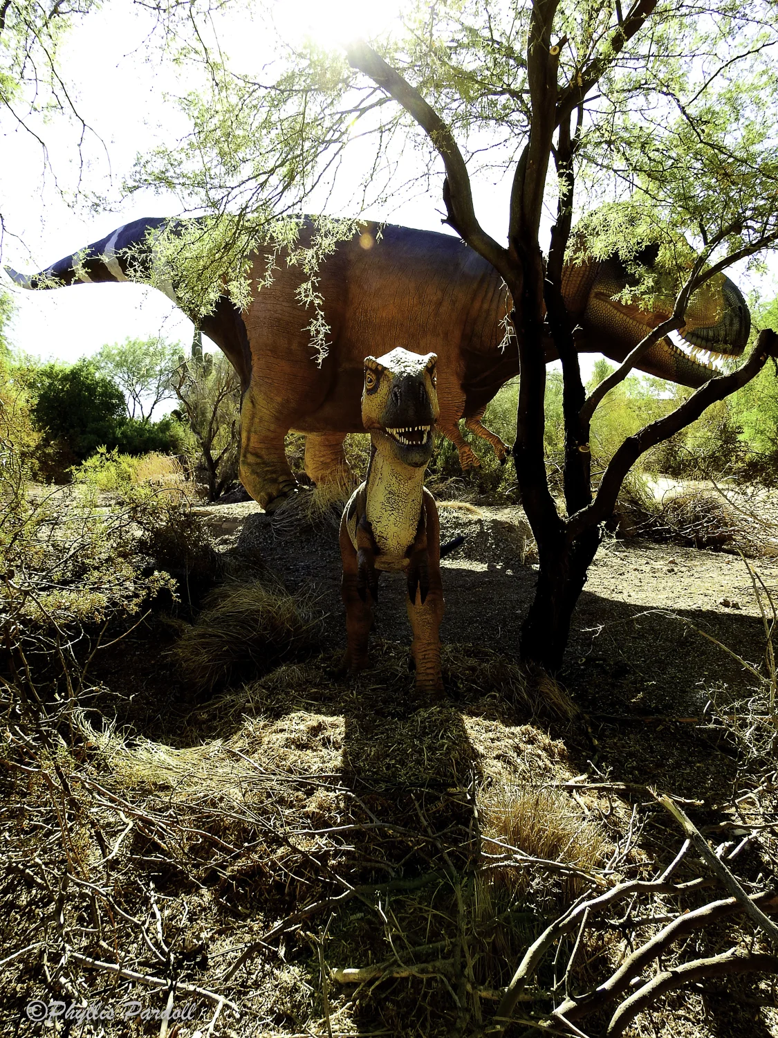Dinosaurs in the Desert-23.jpg