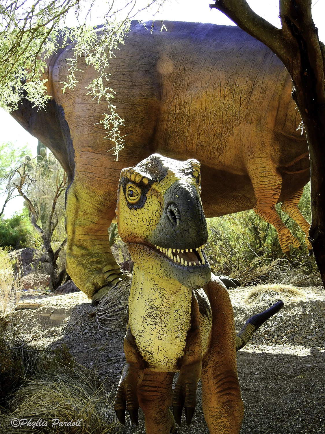 Dinosaurs in the Desert-24.jpg