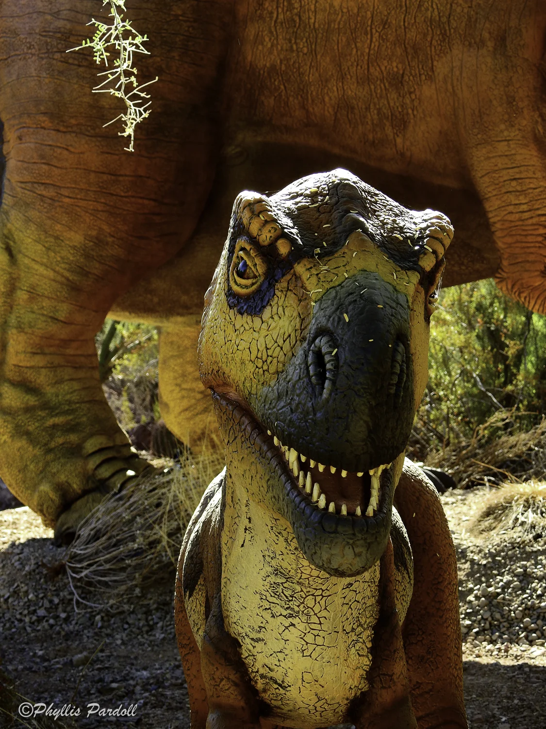 Dinosaurs in the Desert-25.jpg