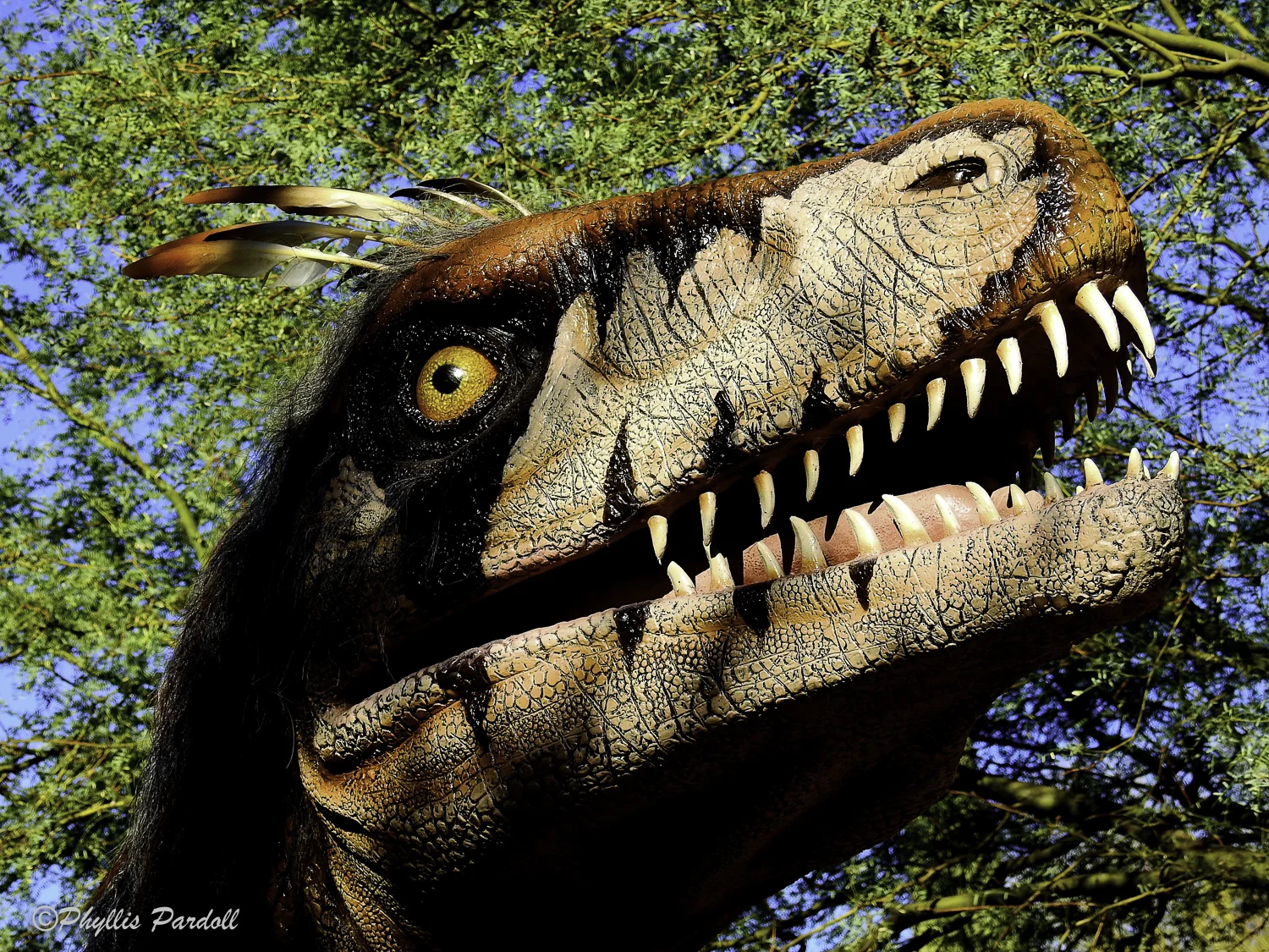 Dinosaurs in the Desert-30.jpg
