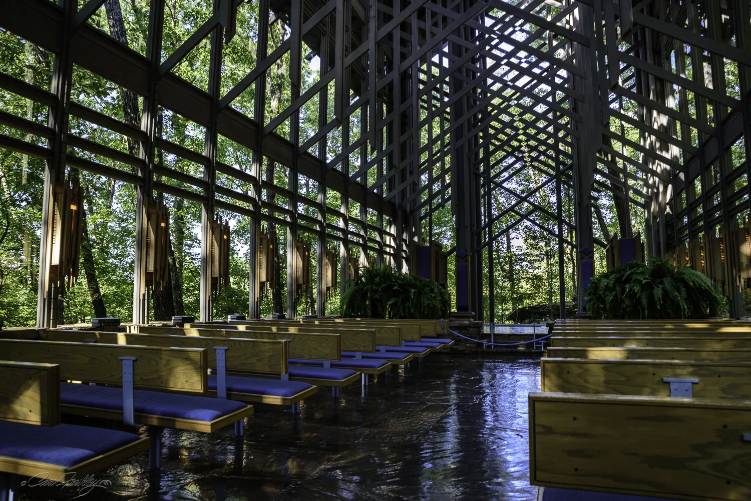 You might be surprised how far I can stretch into the aisle from a seated position (under the careful eye of the stern volunteer). I wondered if he would help me up if I fell onto the floor. The place is peaceful and serene with the forest all around it.
