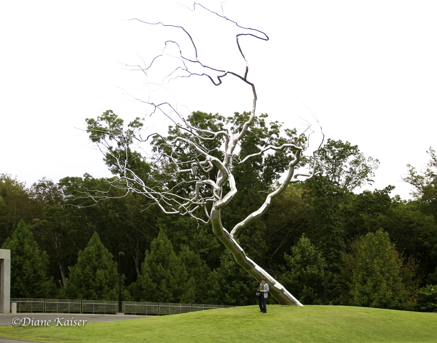 Putting Tom in the photograph gives you a sense of scale. We photographed the sculpture from many angles and in diverse light. What fun!