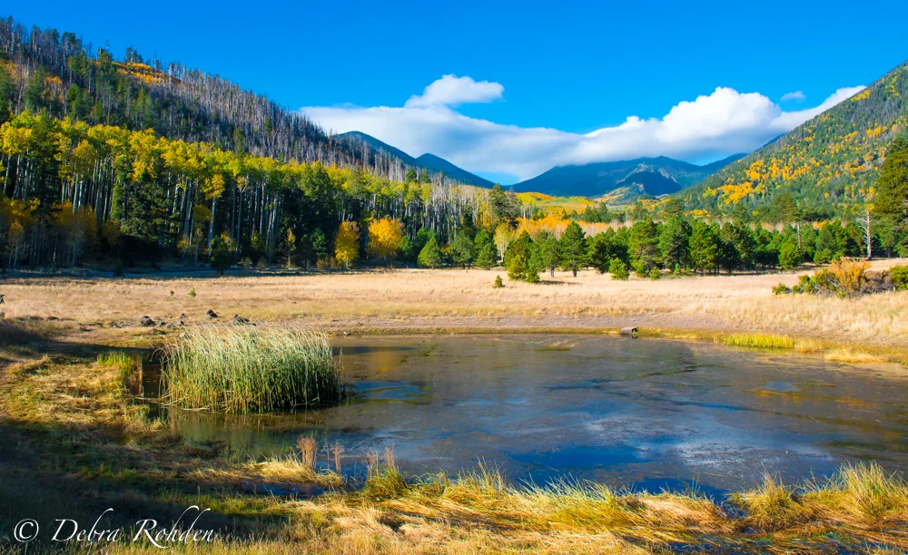 Lockett Meadow on October 4th.