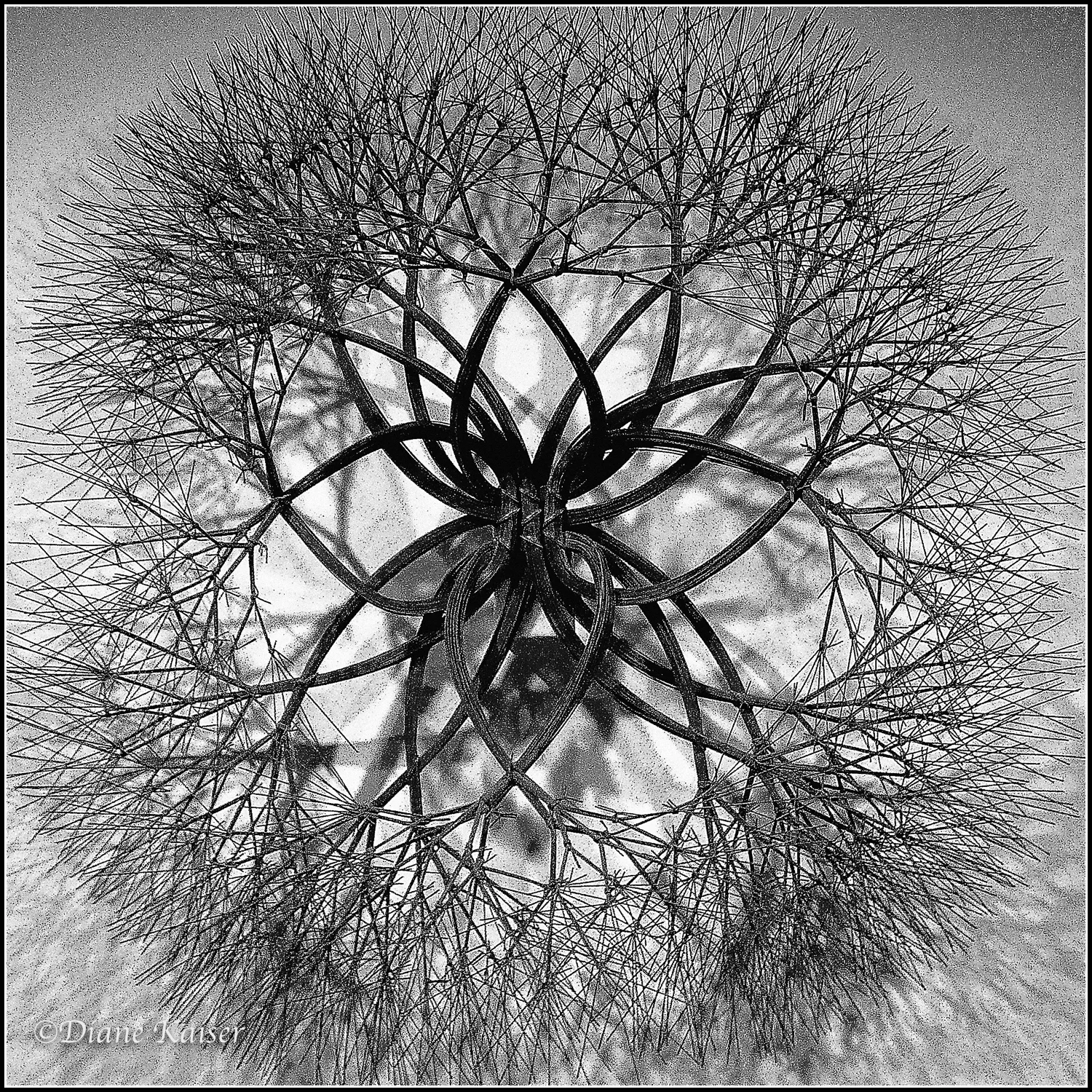 This is an untitled piece made of bronze wire by Ruth Asawa (1926-2013). The side description states: "At the center of the circular shape, a knot of wrapped wires extends outward, eventually unraveling into spikey forms that look similar to tree branches. As a child during World War II, Ruth Asawa was interned at Rohwer War Relocation Center in Desha County, Arkansas. Much of her artwork was influenced by this imprisonment and marginalization. Untitled , with its organic appearance, nod to the fencing that surrounded the internment camp, giving the lovely object a subtle sinister edge."