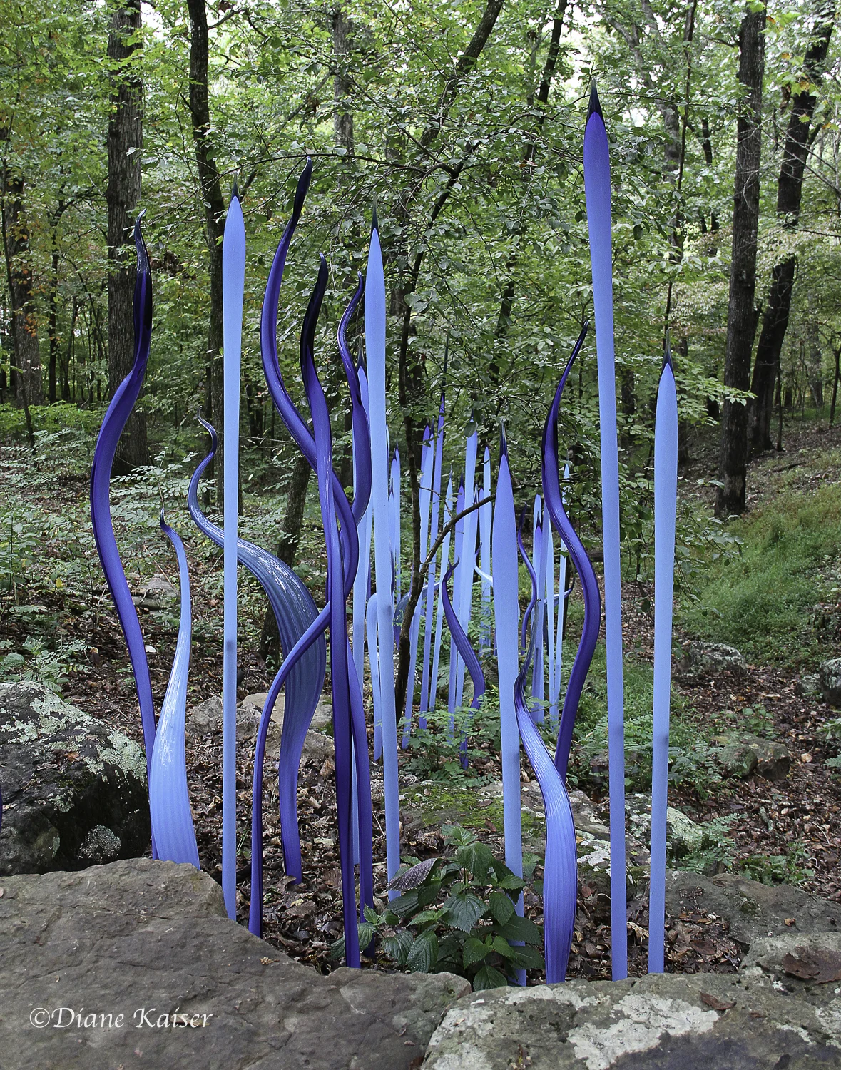 These are Turquoise Reeds and Ozark Fiori .