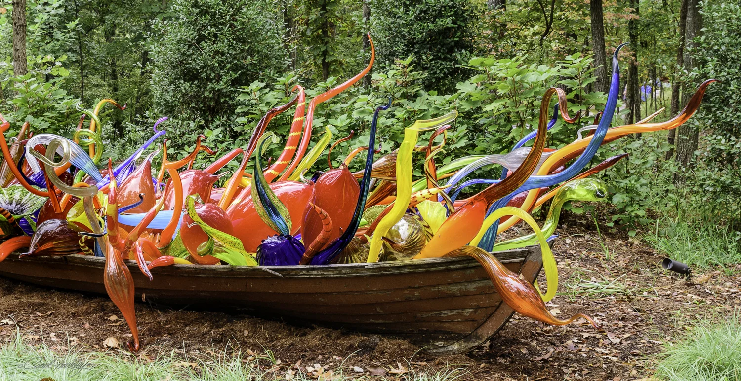 Fiori Boat .