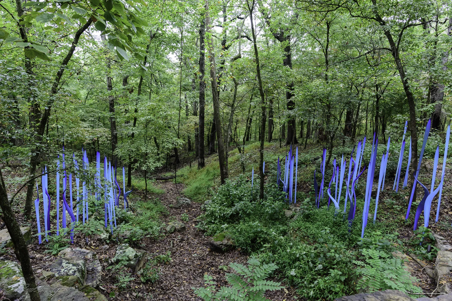 Chihuly in the Forest-13-9.jpg