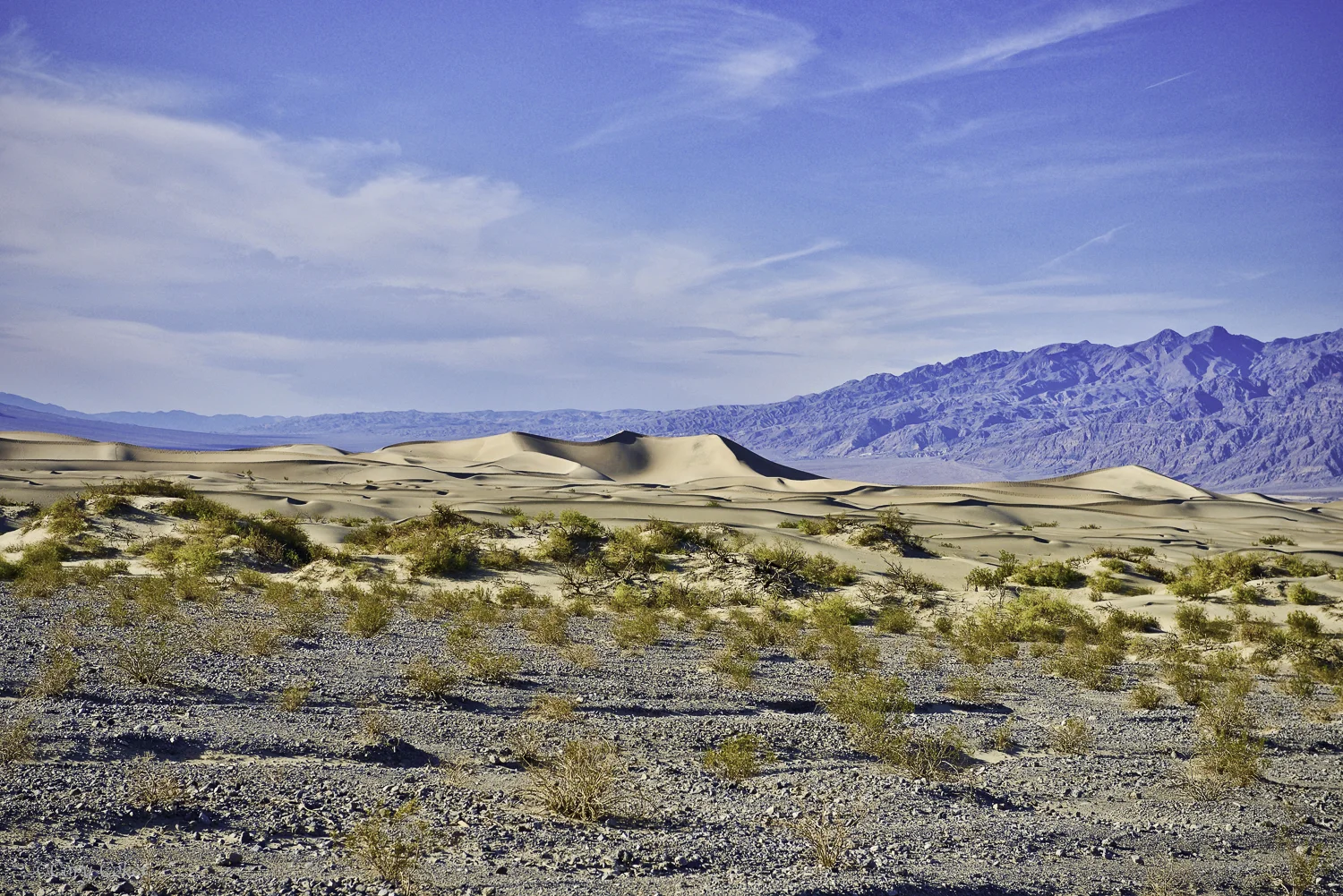 CC Death Valley National Park-6.jpg