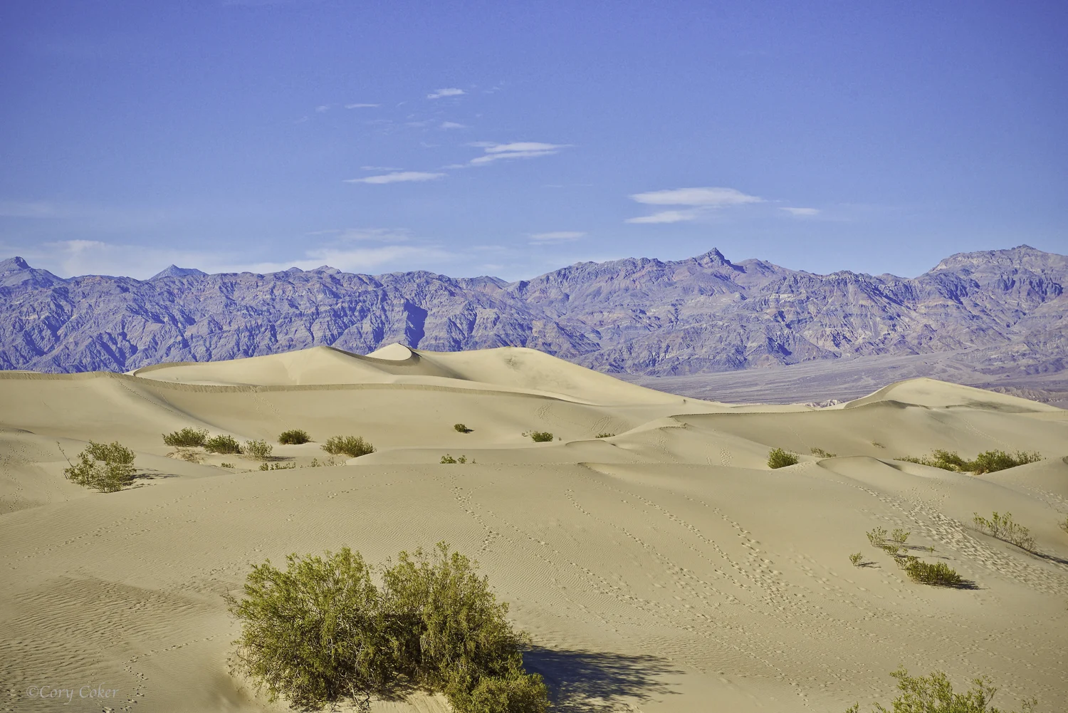 CC Death Valley National Park-4.jpg