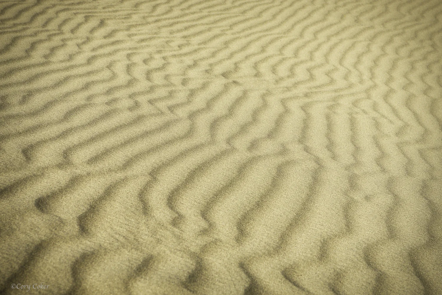 CC Death Valley National Park-2.jpg