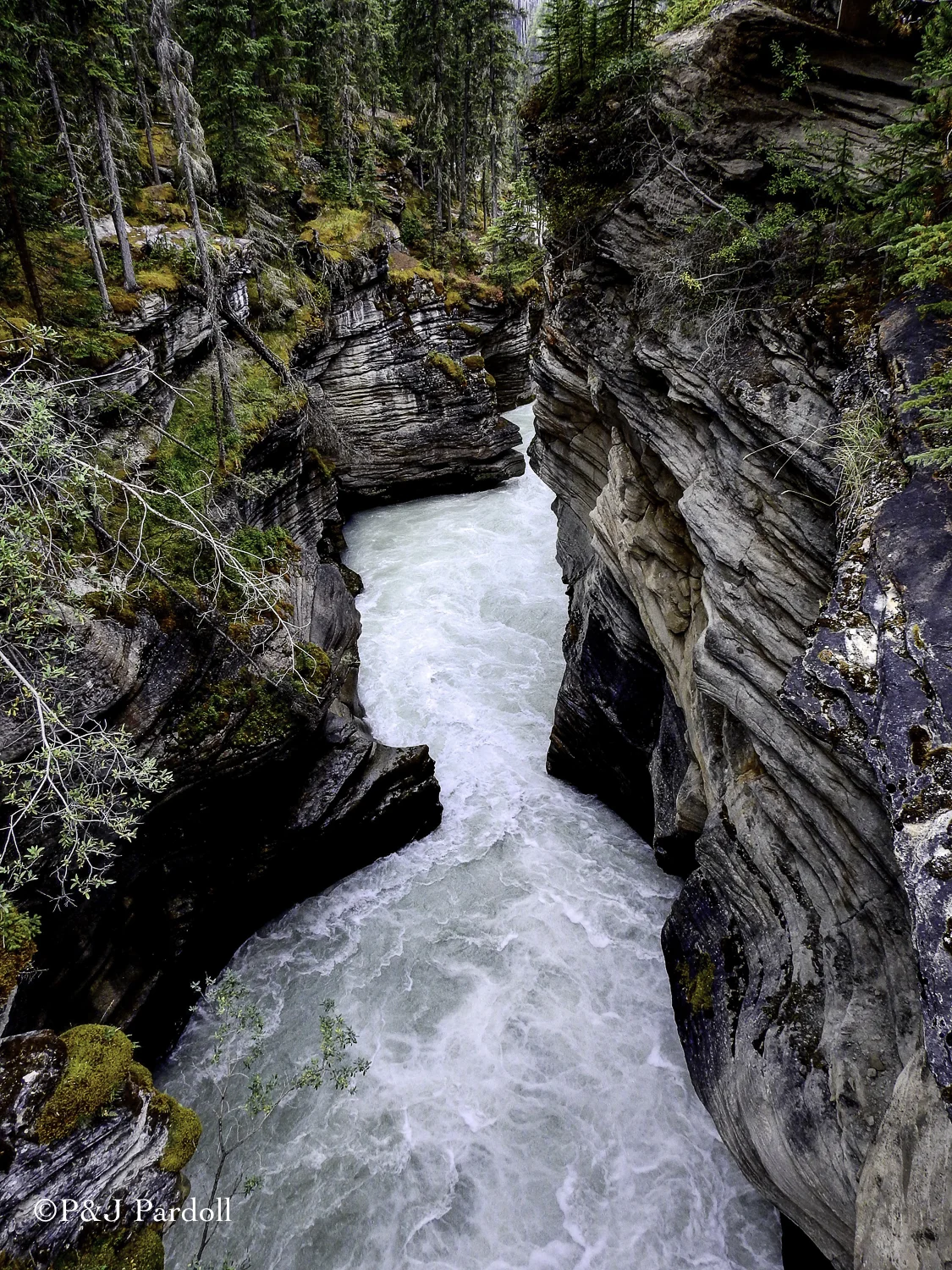 Athabaska Falls