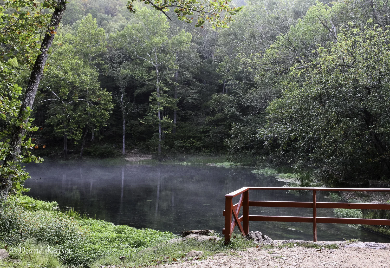 The fog lasted for some time after we arrived.