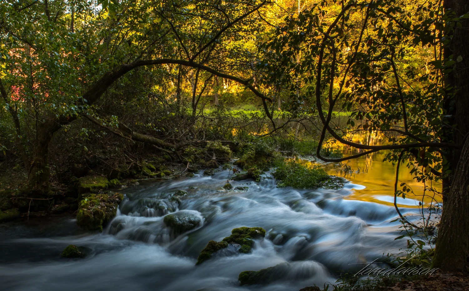 TD Alley Springs Mill (309 of 29).jpg