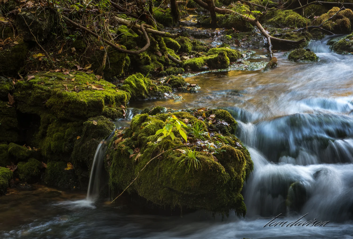 TD Alley Springs Mill (314 of 29).jpg