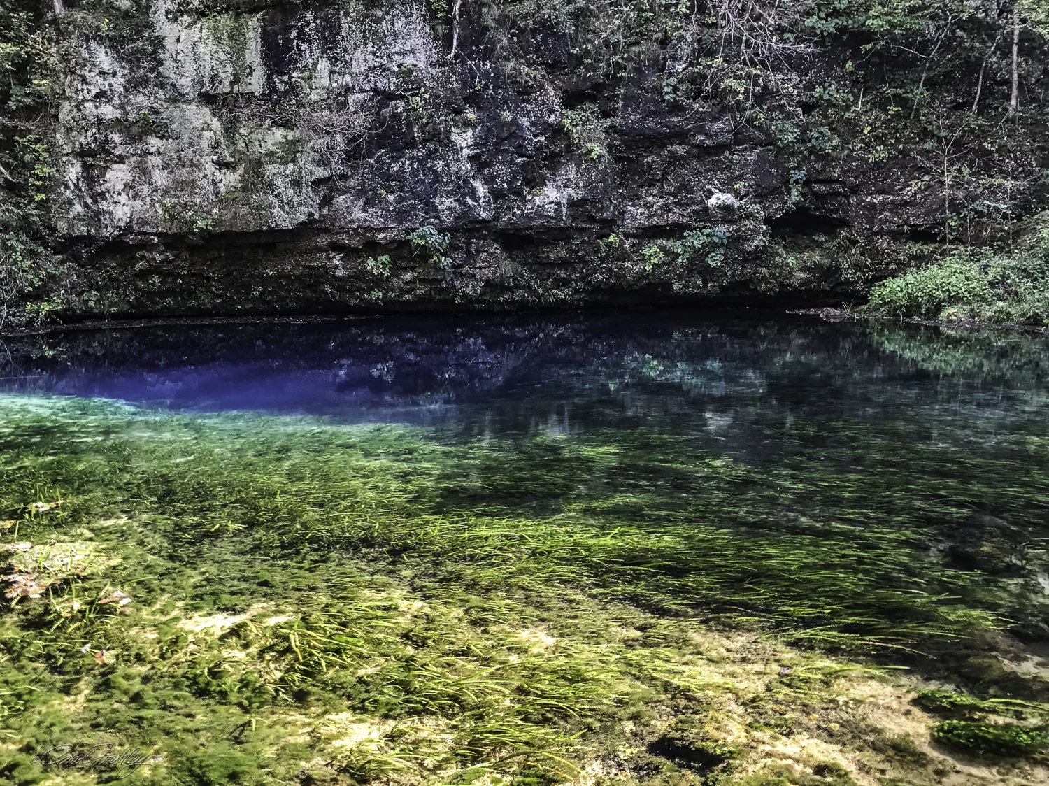 Blue Spring-18.jpg
