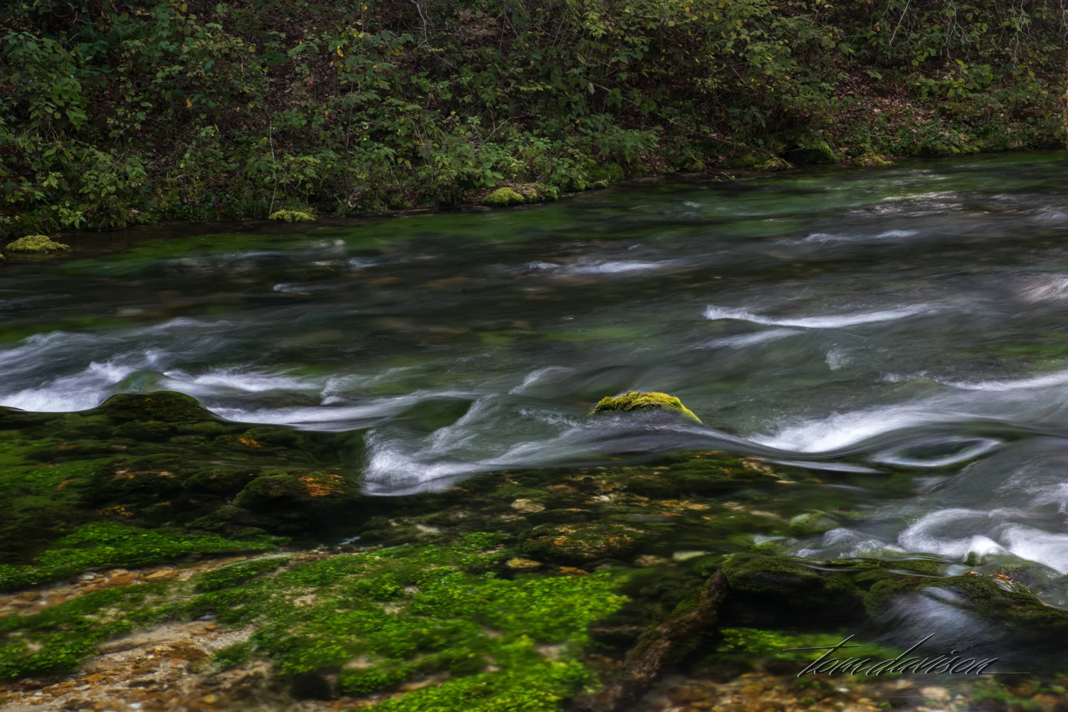 TD Blue Spring (312 of 14).jpg