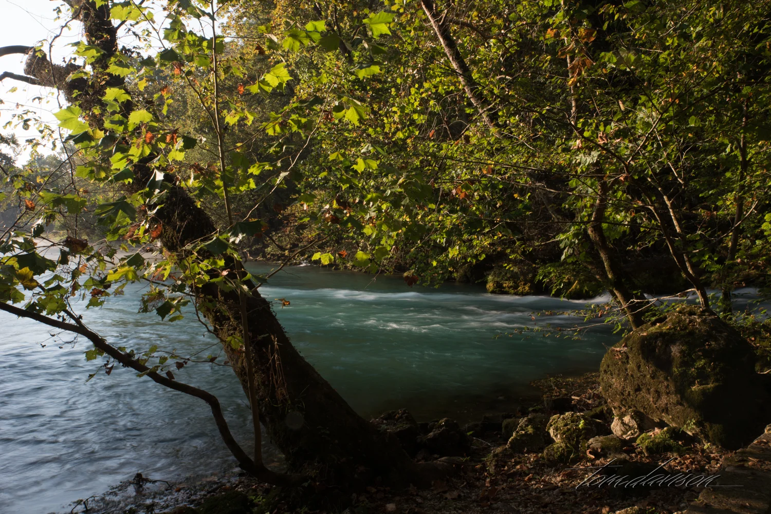 TD Big Spring (307 of 13).jpg