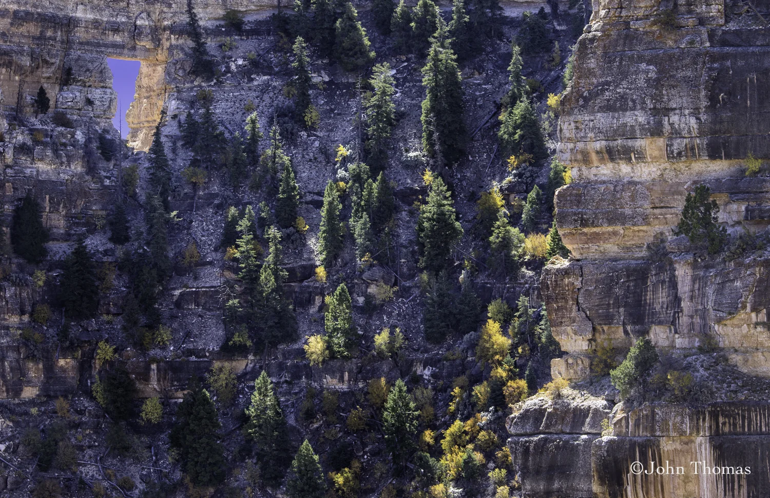 JBT North Rim Weekend-9.jpg