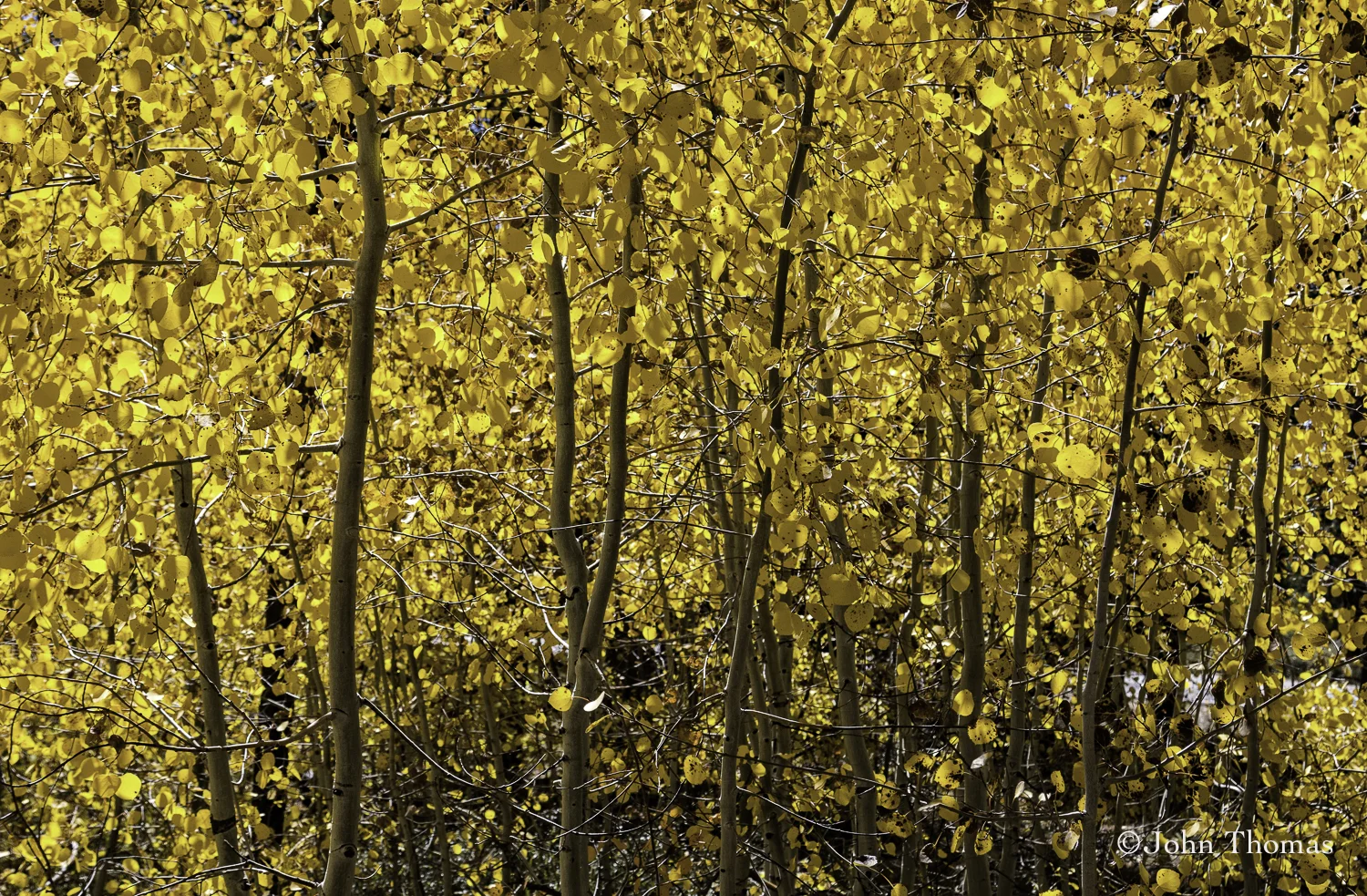JBT North Rim Weekend-10.jpg