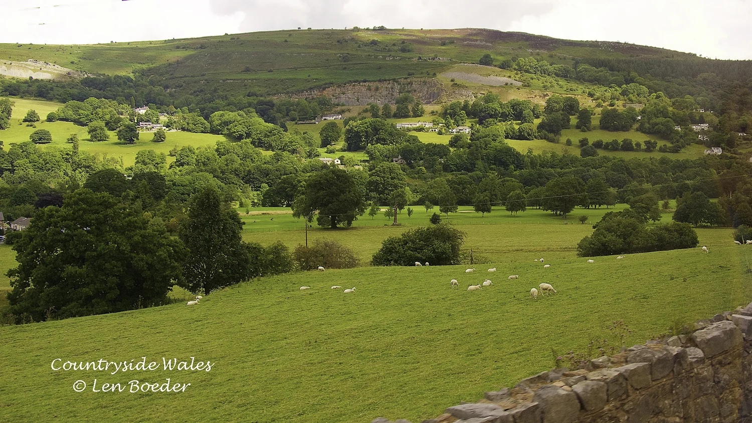 Countryside Wales 1013.jpg