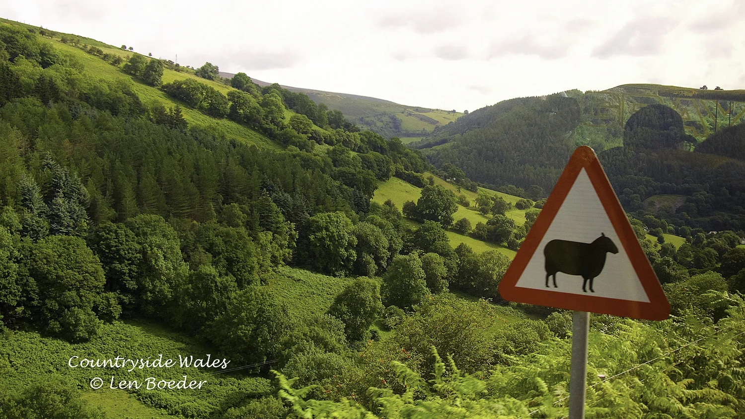 Countryside Wales 1015.jpg
