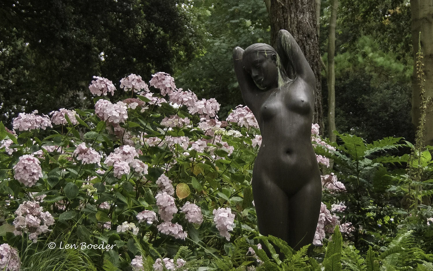 Abbotsbury Garden 1045.jpg