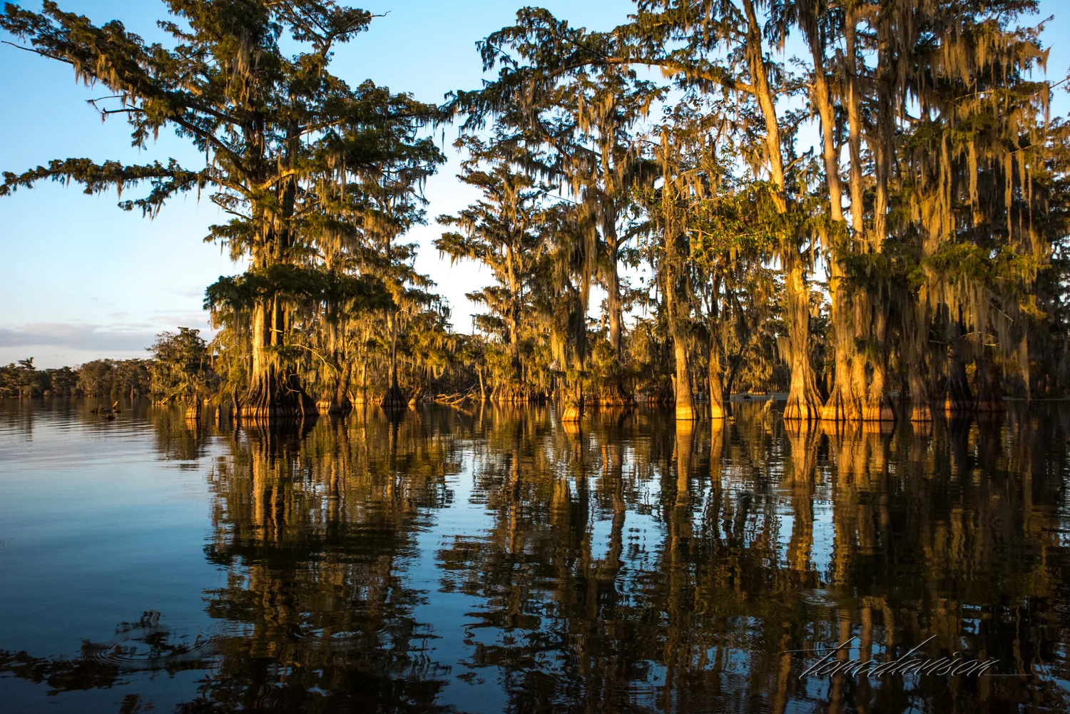 TD Swamp (332 of 48).jpg