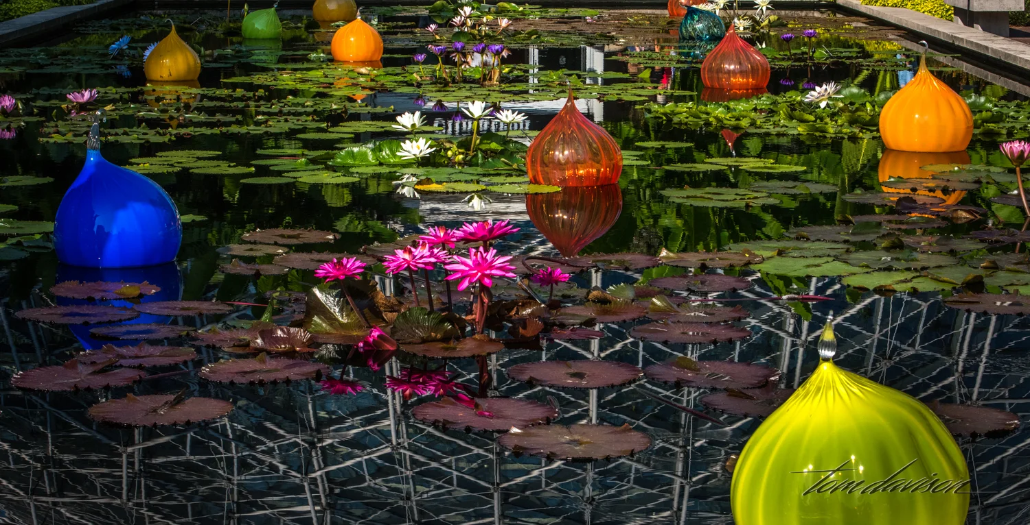 TD Botanical (304 of 98).jpg