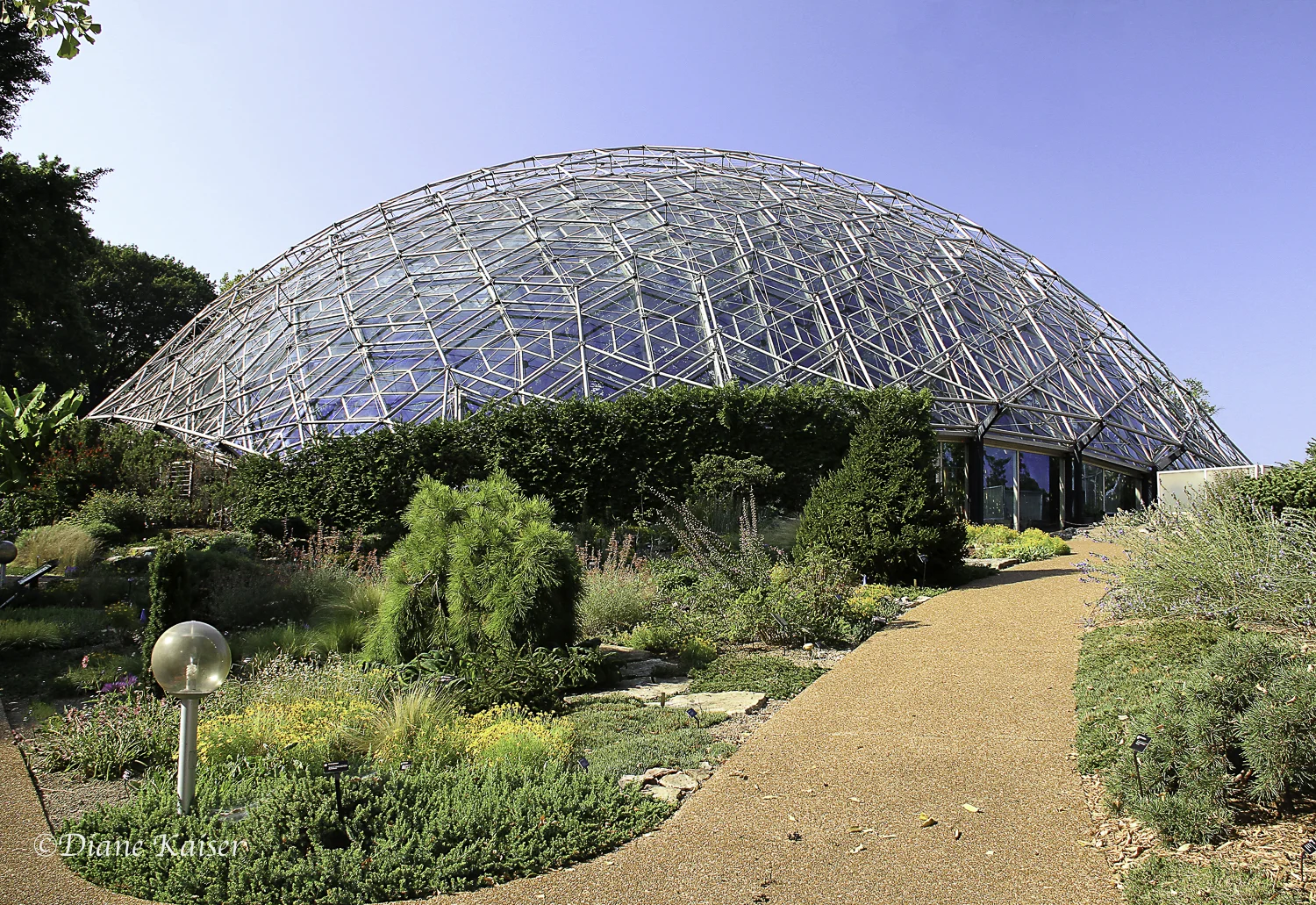 This is the huge Climatron, the first geodesic dome to be used as a conservatory. The dome incorporates the principles of R. Buckminster Fuller, inventor of the geodesic system. The Climatron is home to the world's tropical plants and ecosystems, housing some of the world's rarest plants.