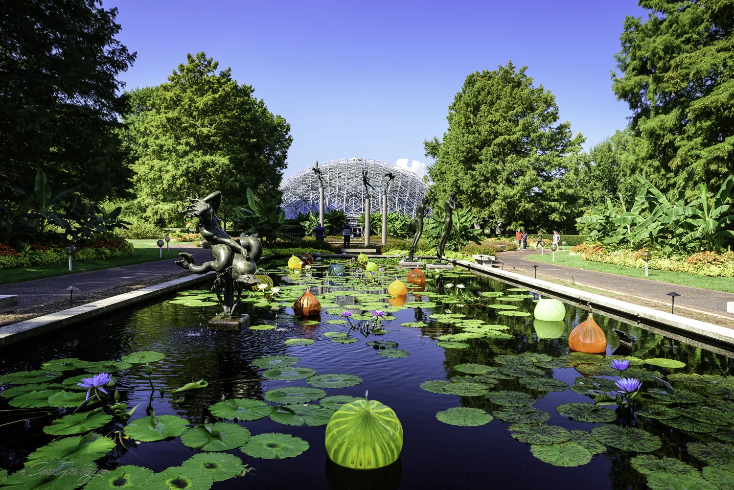 MO Botanical Gardens-13.jpg