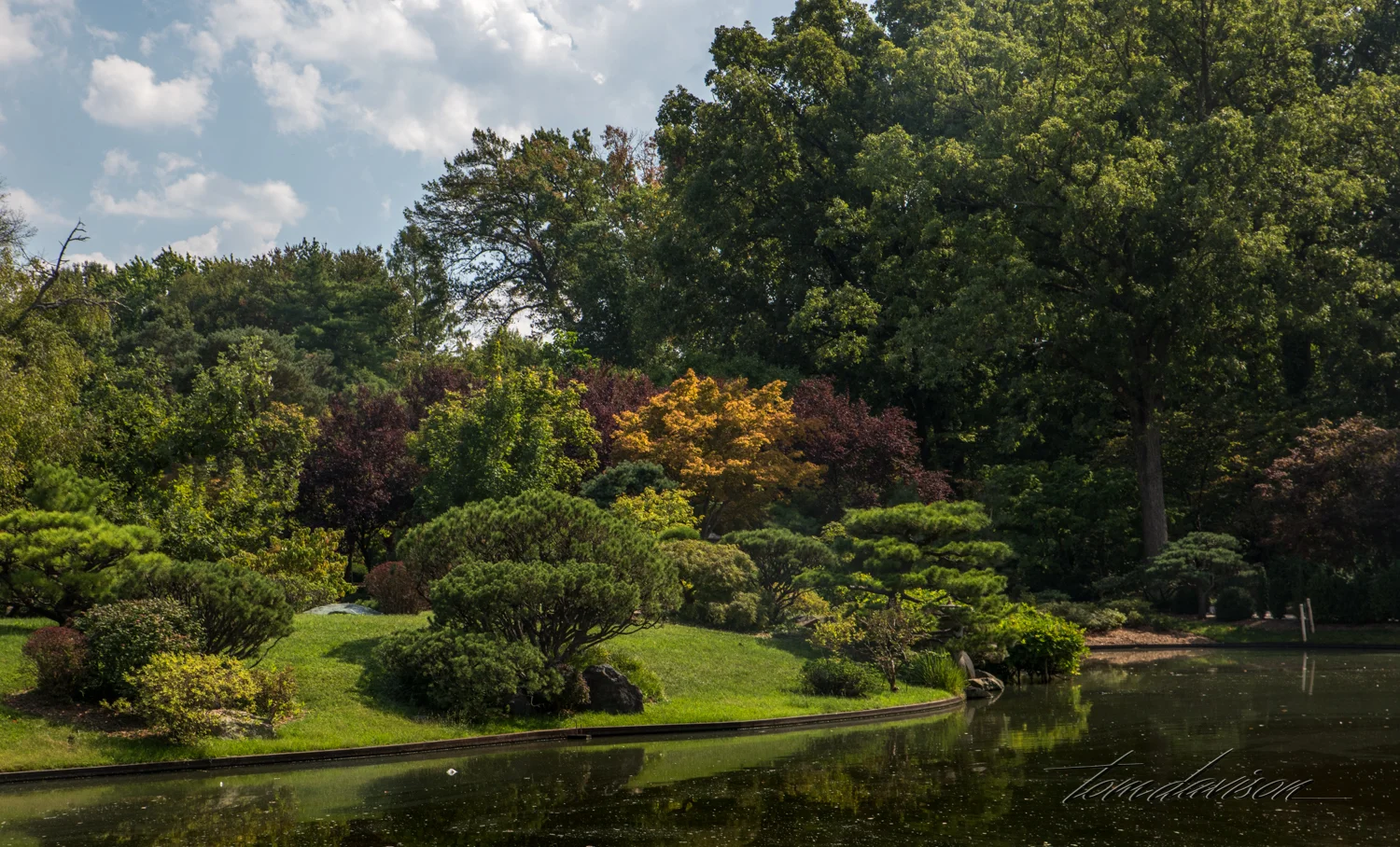 TD Botanical (357 of 98).jpg