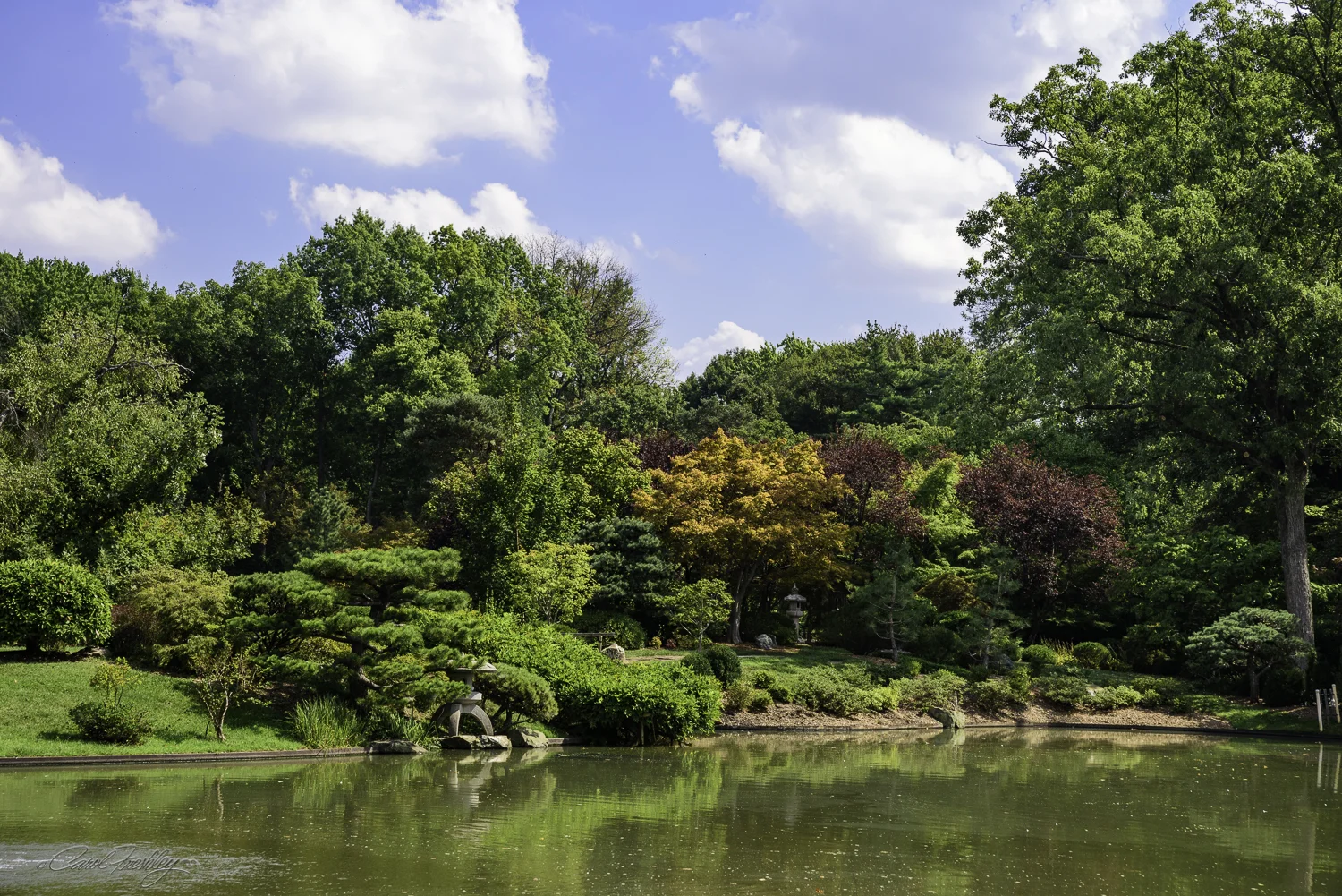 MO Botanical Gardens-58.jpg