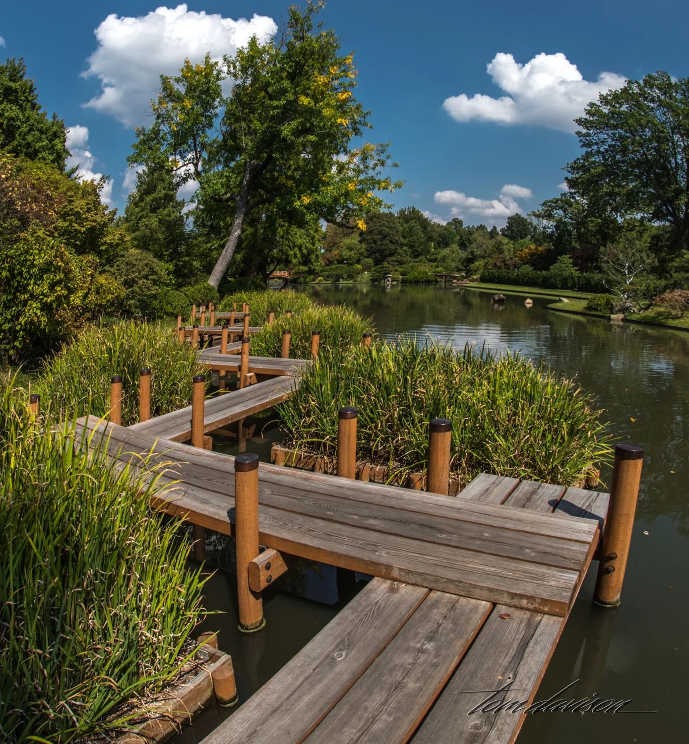 TD Botanical (361 of 98).jpg
