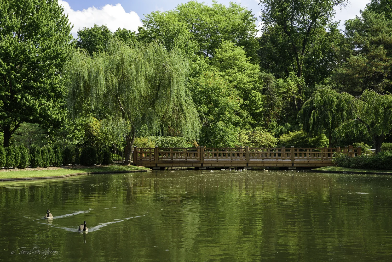 MO Botanical Gardens-73.jpg