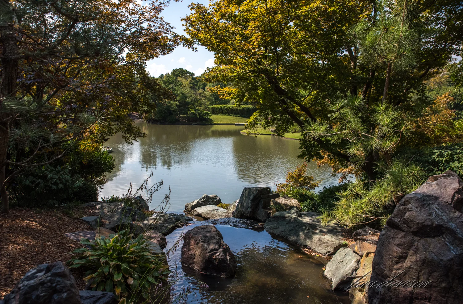 TD Botanical (351 of 98).jpg
